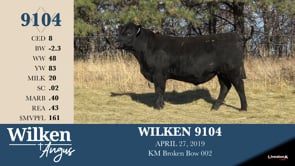 Lot #9104 - WILKEN 9104
