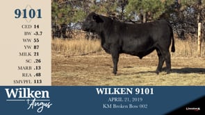 Lot #9101 - WILKEN 9101