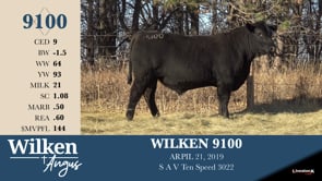 Lot #9100 - WILKEN 9100