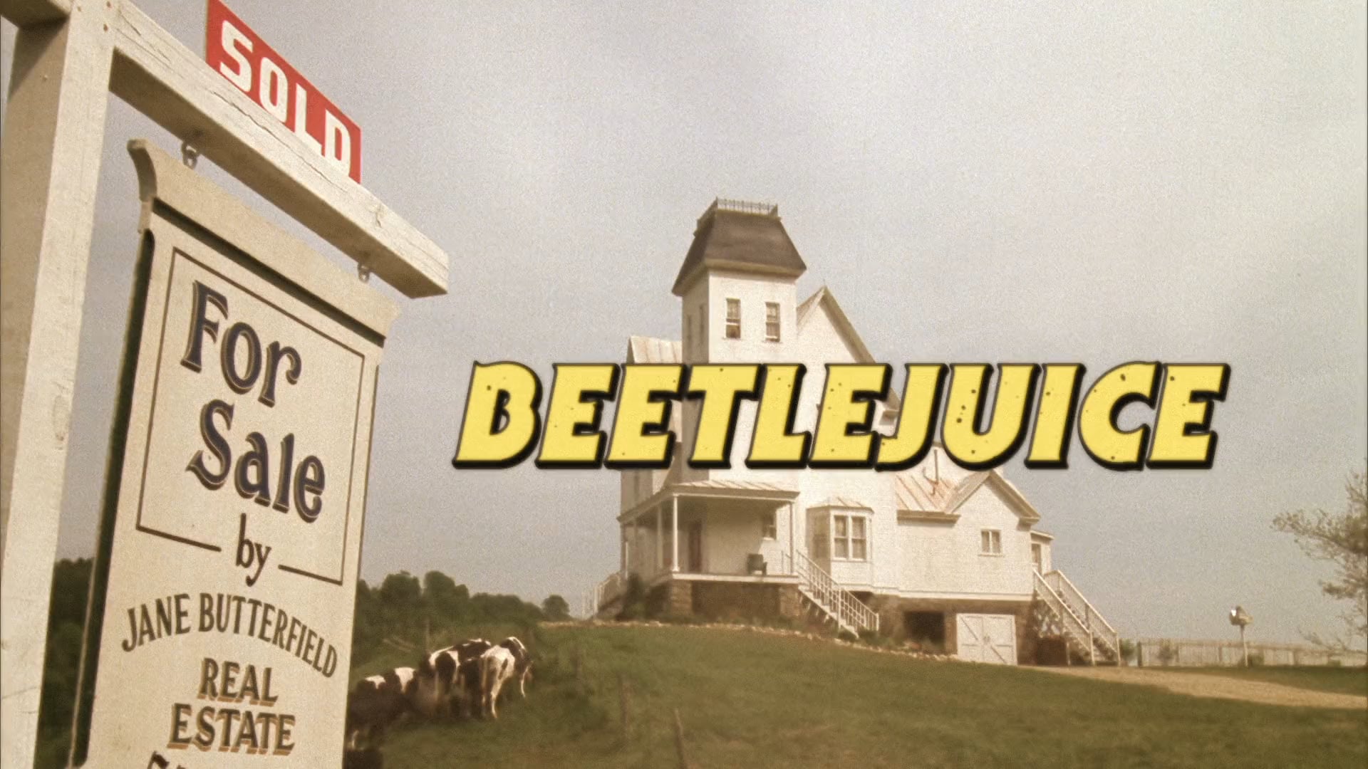 BEETLEJUICE 80S SITCOM