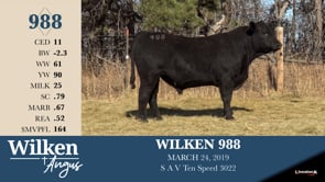 Lot #988 - WILKEN 988