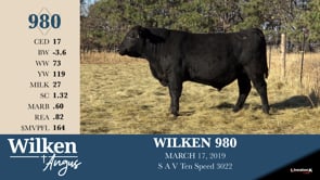 Lot #980 - WILKEN 980