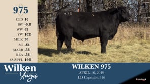 Lot #975 - WILKEN 975