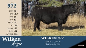 Lot #972 - WILKEN 972