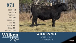 Lot #971 - WILKEN 971