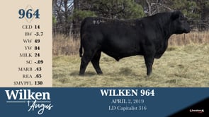 Lot #964 - WILKEN 964