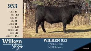 Lot #953 - WILKEN 953