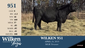 Lot #951 - WILKEN 951
