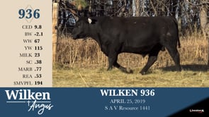 Lot #936 - WILKEN 936