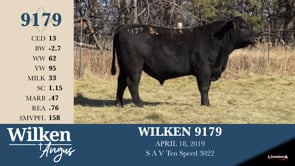 Lot #9179 - WILKEN 9179