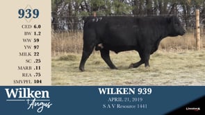 Lot #939 - WILKEN 939