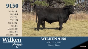Lot #9150 - WILKEN 9150