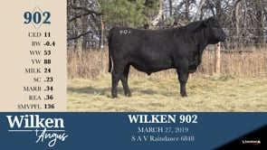 Lot #902 - WILKEN 902
