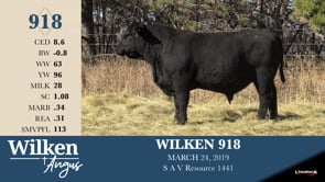 Lot #918 - WILKEN 918