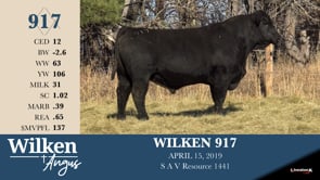 Lot #917 - WILKEN 917