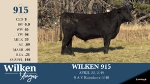 Lot #915 - WILKEN 915