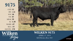 Lot #9175 - WILKEN 9175