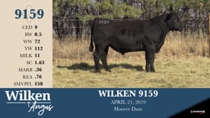 Lot #9159 - WILKEN 9159 -OUT-