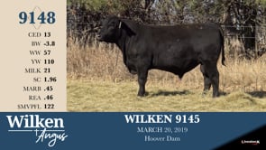 Lot #9148 - WILKEN 9145