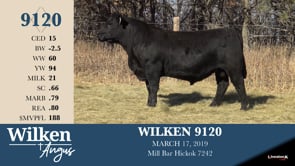 Lot #9120 - WILKEN 9120