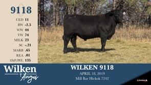 Lot #9118 - WILKEN 9118