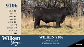 Lot #9106 - WILKEN 9106