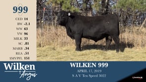 Lot #999 - WILKEN 999