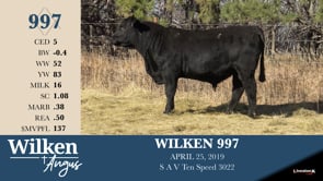 Lot #997 - WILKEN 997
