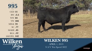 Lot #995 - WILKEN 995