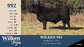 Lot #992 - WILKEN 992