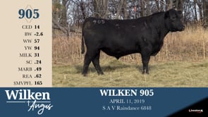 Lot #905 - WILKEN 905