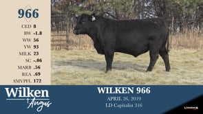 Lot #966 - WILKEN 966