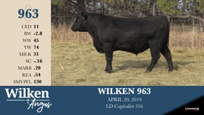 Lot #963 - WILKEN 963