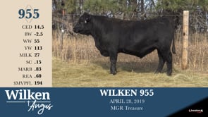 Lot #955 - WILKEN 955