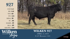 Lot #927 - WILKEN 927