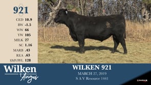 Lot #921 - WILKEN 921