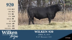 Lot #920 - WILKEN 920