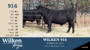 Lot #916 - WILKEN 916