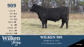Lot #909 - WILKEN 909