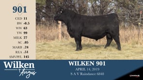 Lot #901 - WILKEN 901