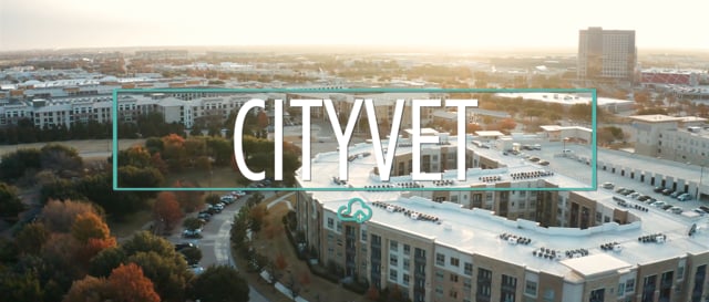Corporate Groups | ezyVet