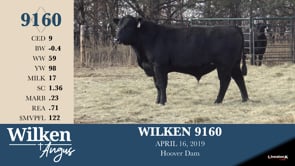 Lot #9160 - WILKEN 9160