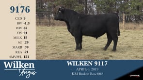 Lot #9176 - WILKEN 9117