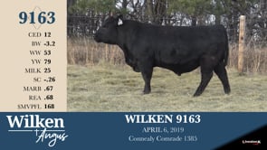 Lot #9163 - WILKEN 9163