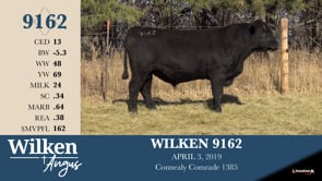 Lot #9162 - WILKEN 9162