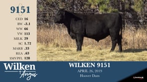 Lot #9151 - WILKEN 9151