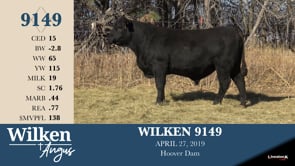 Lot #9149 - WILKEN 9149
