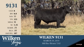 Lot #9131 - WILKEN 9131