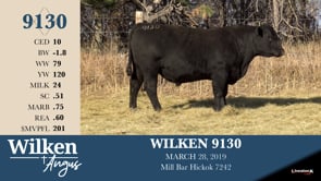 Lot #9130 - WILKEN 9130
