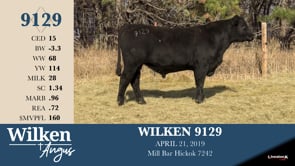 Lot #9129 - WILKEN 9129